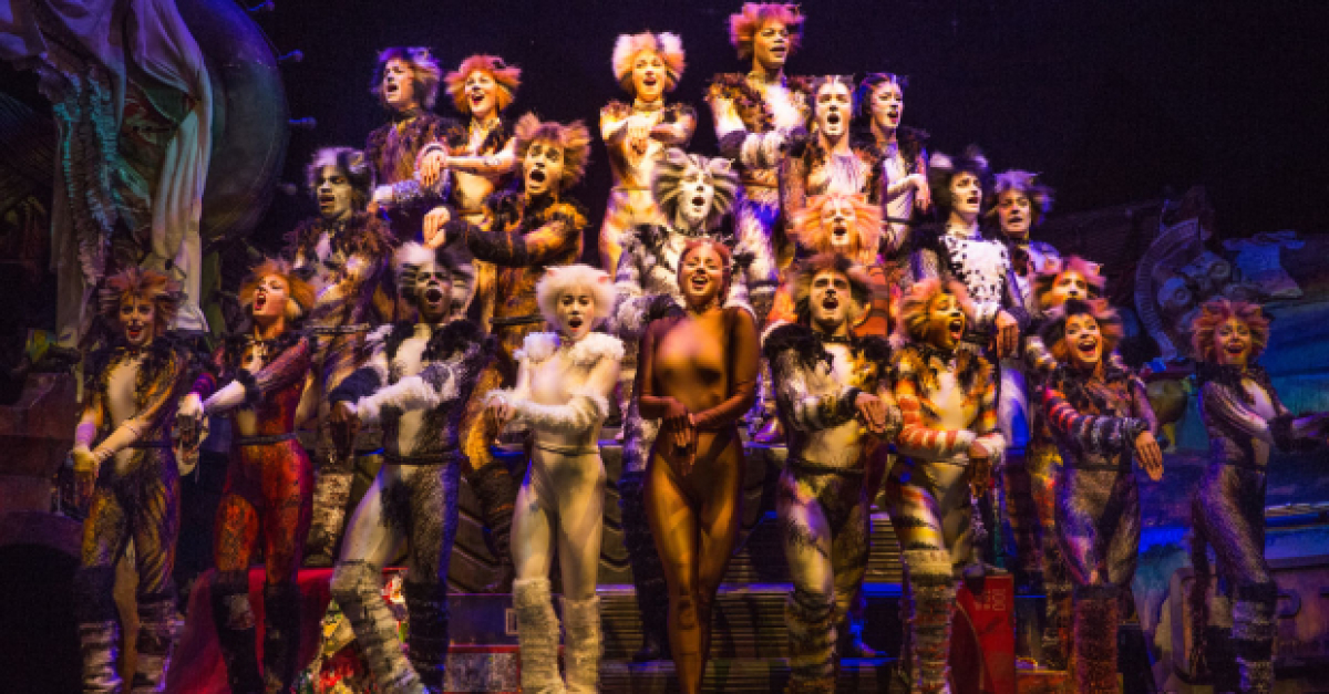 Cats Film Release Date Set