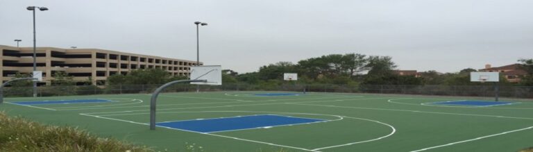 Sports 1 768x219