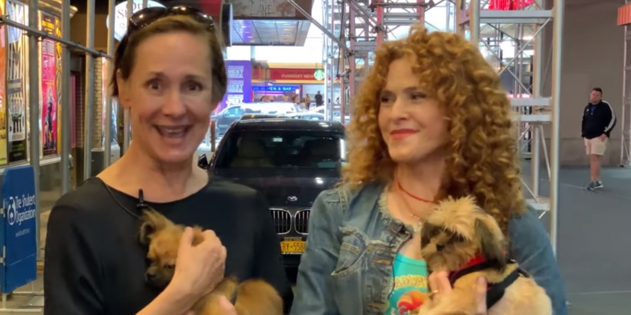 VIDEO: Broadway Barks Cancels 2019 Event Due to Construction in Shubert Alley